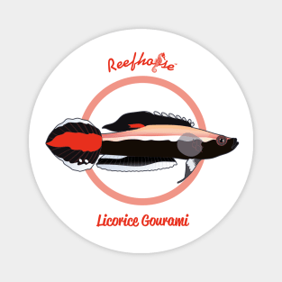 Licorice Gourami Magnet